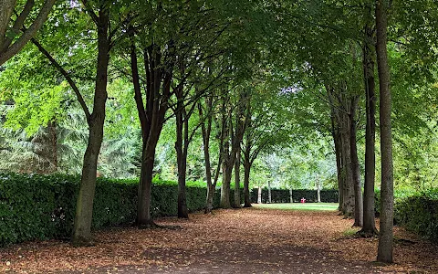 National Trust - Whipsnade Tree Cathedral image