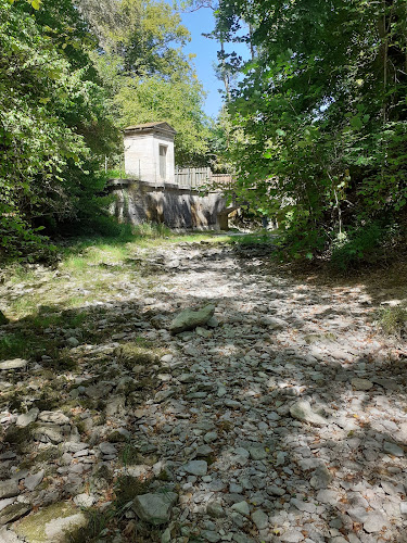 Parc De Jouvence à Mâlain