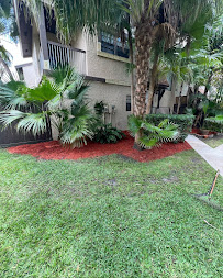 All Nix Services - Photo 3 - Car repair in , Hollywood