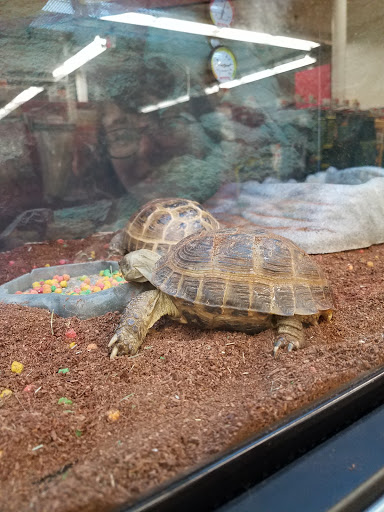 Pet Supply Store «Petco Animal Supplies», reviews and photos, 10 Sylvan St, Peabody, MA 01960, USA