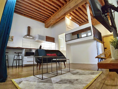 Le Renversé - Appartement à Lyon