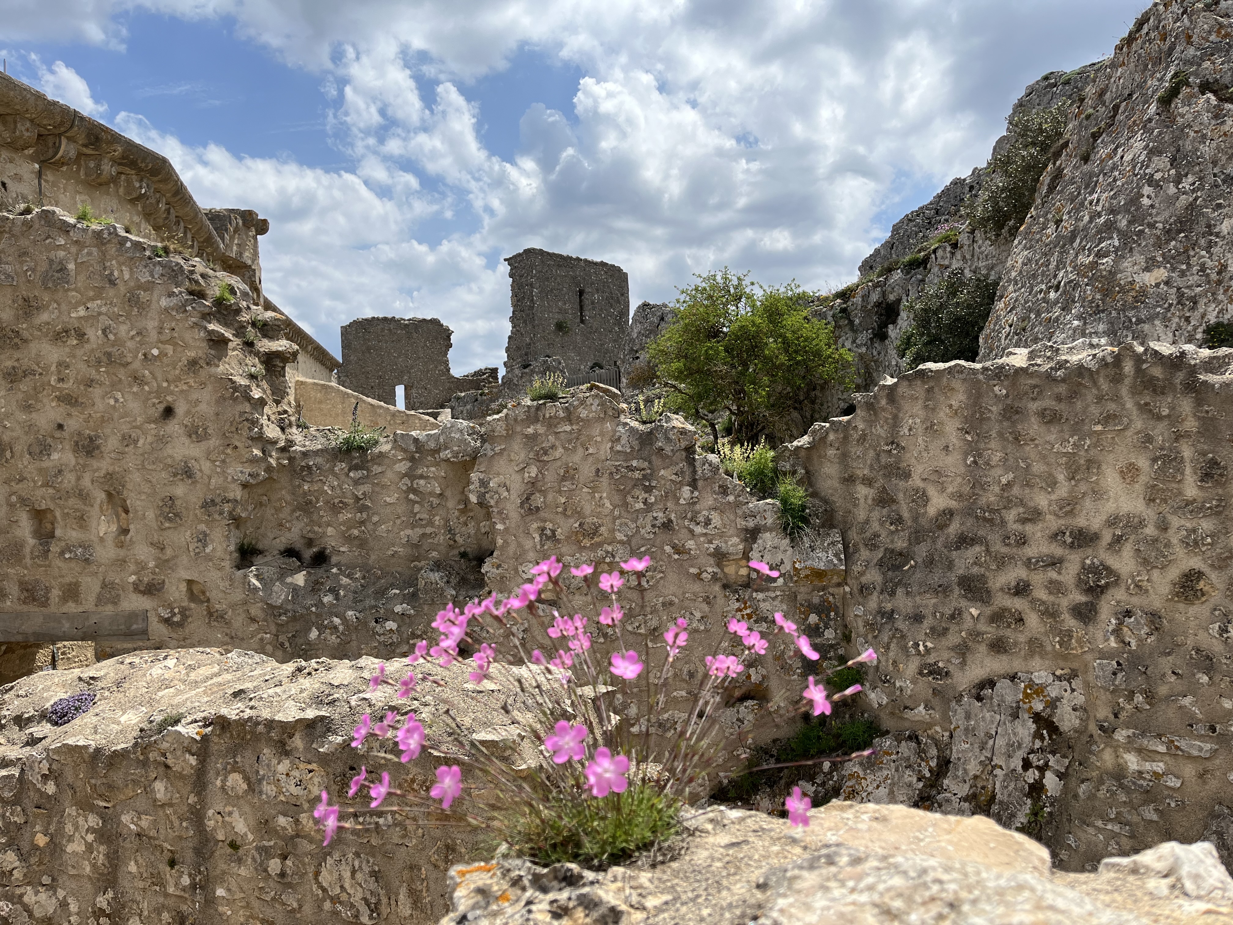 Photo n° 5 de l'avis de Drastik.J fait le 31/05/2023 à 21:13