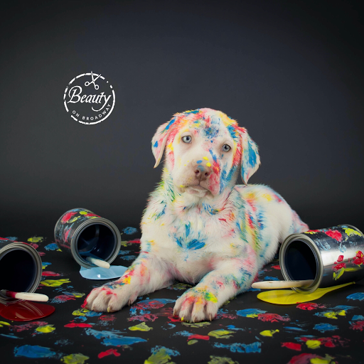 Beauty Salon «Broadway Fabulous Salon», reviews and photos, 310 Monroe St, Dunedin, FL 34698, USA