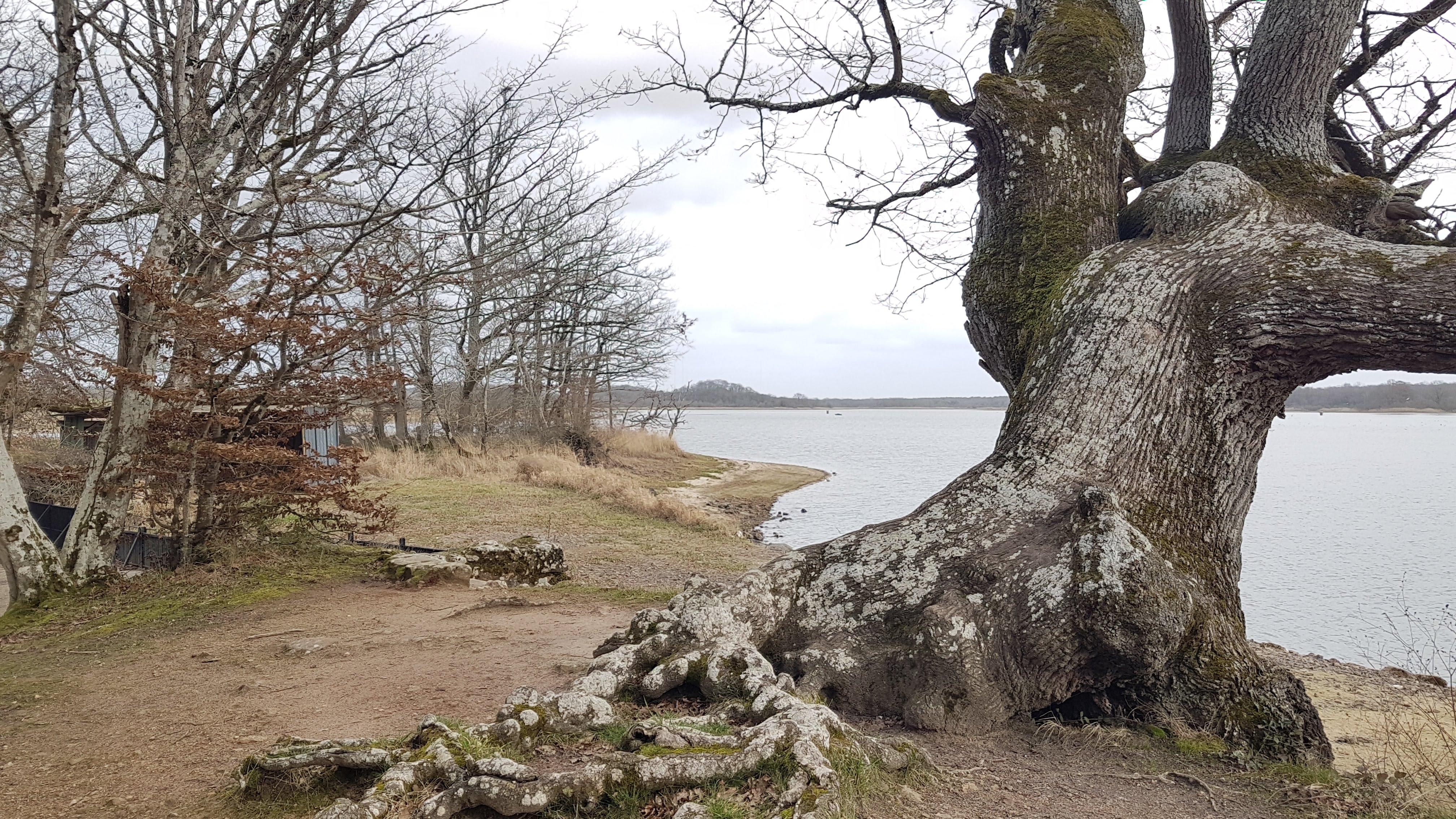 Photo n° 5 de l'avis de Thierry.a fait le 18/02/2019 à 14:33