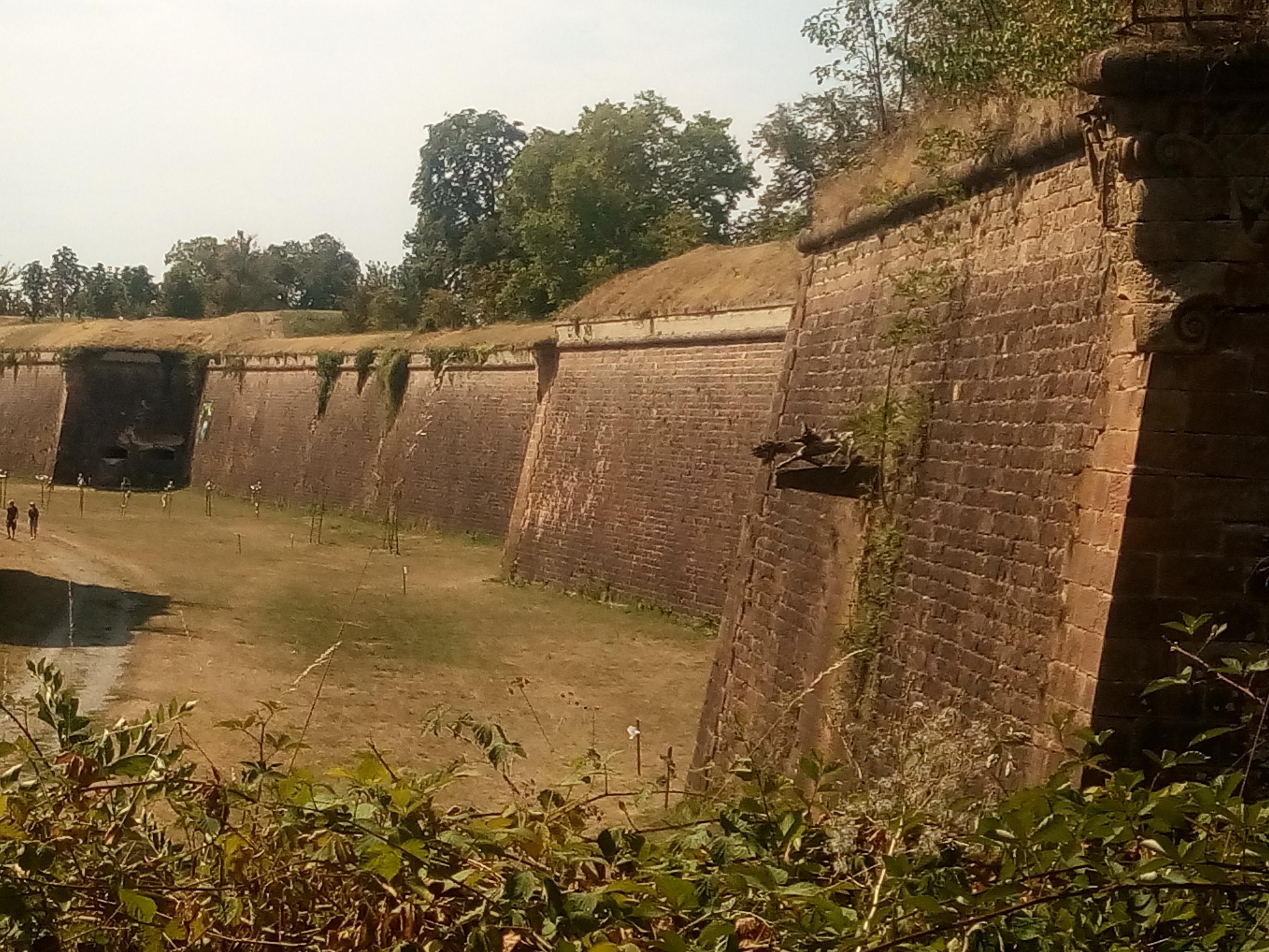 Photo n° 2 de l'avis de Barrie.e fait le 30/09/2018 à 14:11