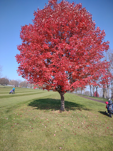 Golf Course «Whitetail Golf Club», reviews and photos, 2679 Klein Rd, Bath, PA 18014, USA