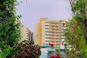 DDA Flats Terrace Garden image