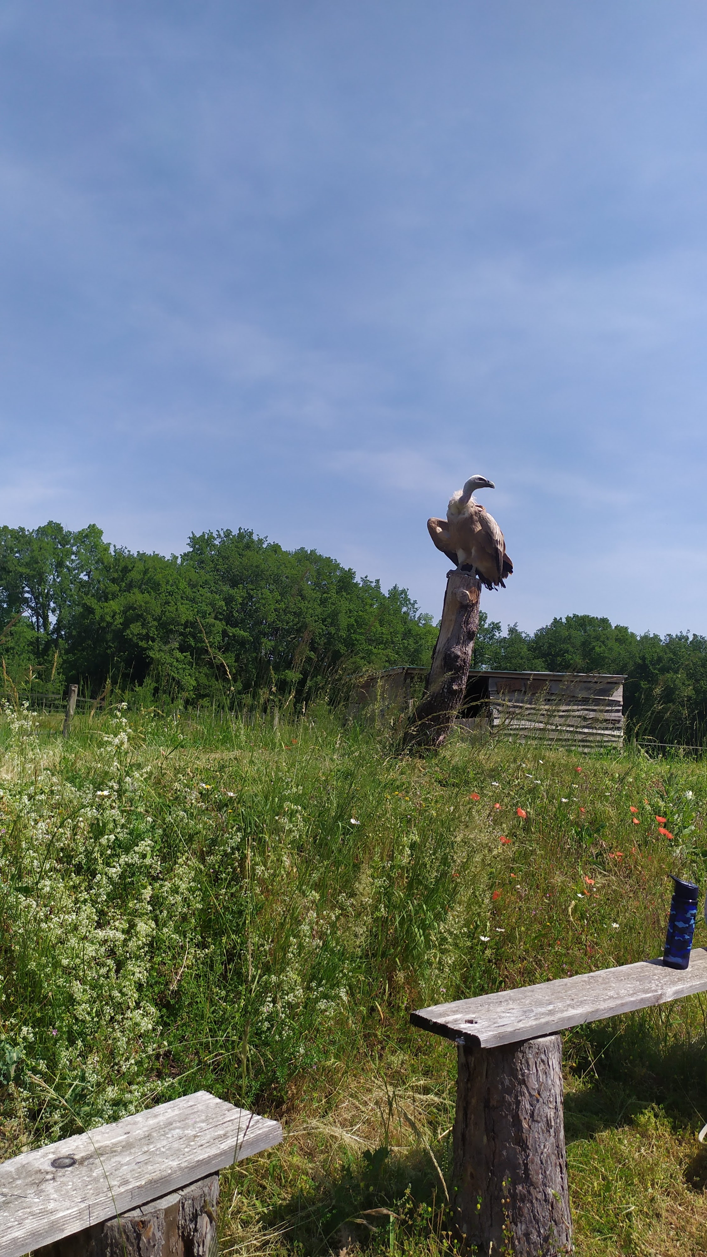 Photo n° 1 de l'avis de MC. fait le 03/06/2023 à 22:37