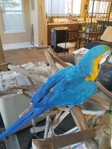 Pet Supply Store «At Your Services Pet Supplies», reviews and photos, 55 S Valle Verde Dr #300, Henderson, NV 89012, USA