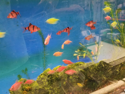 Pet Store «Animal Ark», reviews and photos, 2730 Brookdale Dr, Kingwood, TX 77339, USA