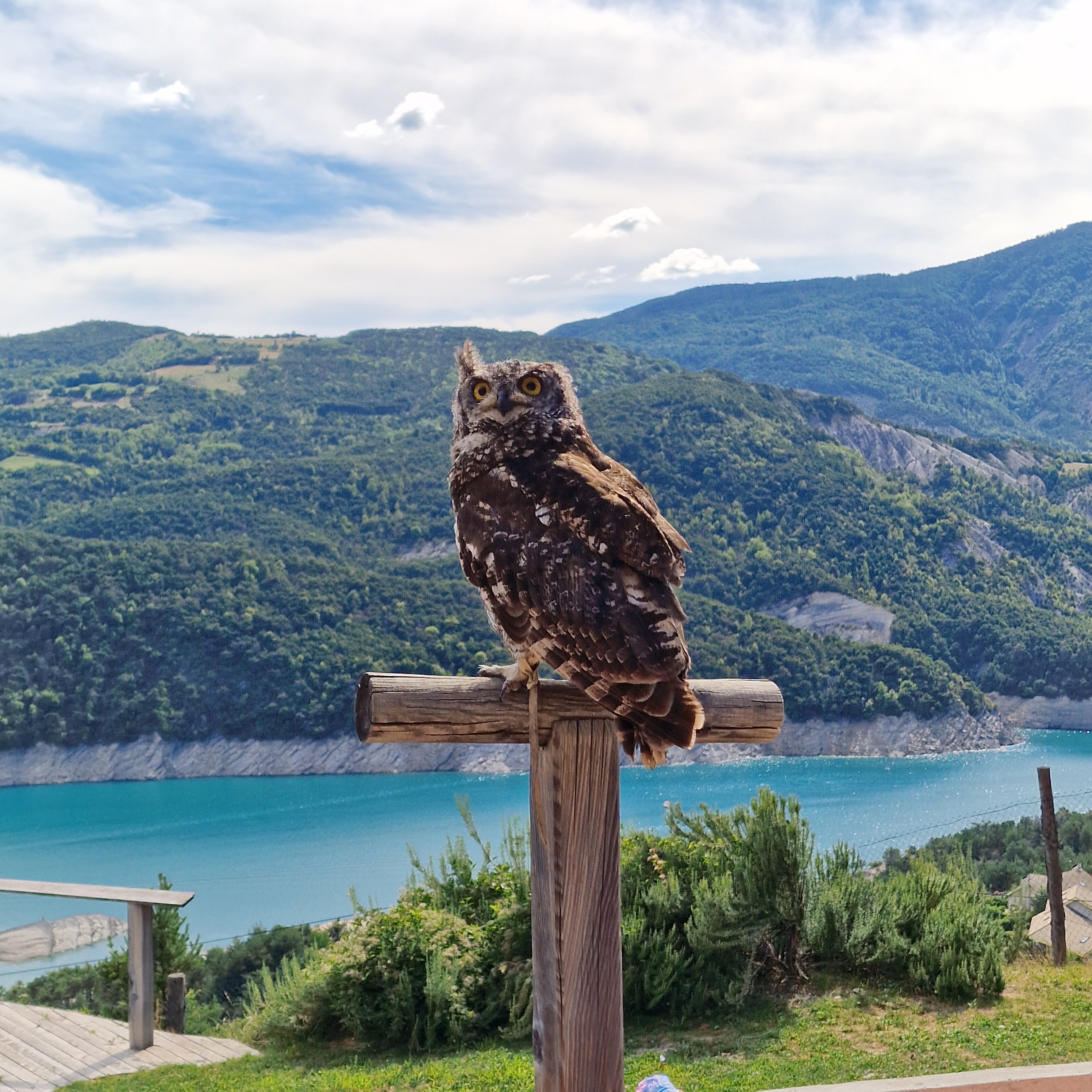 Photo n° 4 de l'avis de Youss.o fait le 30/08/2022 à 07:37