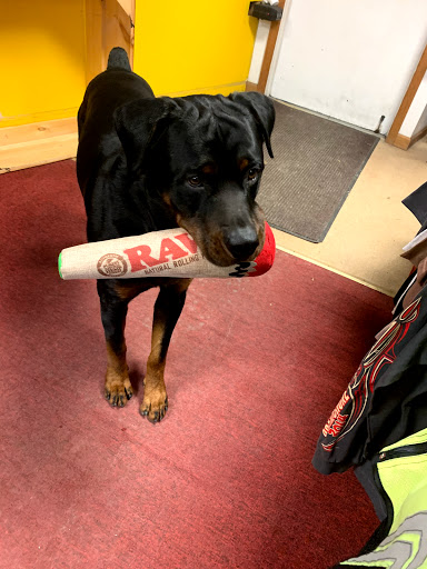 Motorcycle Shop «Underground Leather & Cycle», reviews and photos, 11 Clinton Ave, Cortland, NY 13045, USA