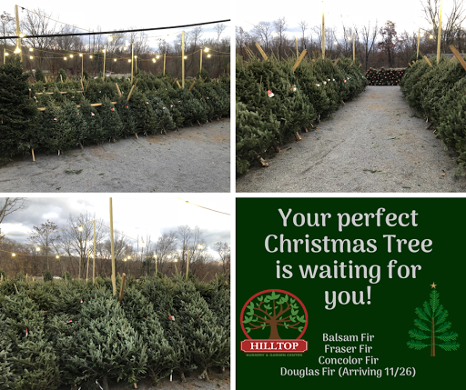 Garden Center «Hilltop Nursery & Garden Center», reviews and photos, 2028 Albany Post Rd, Croton-On-Hudson, NY 10520, USA