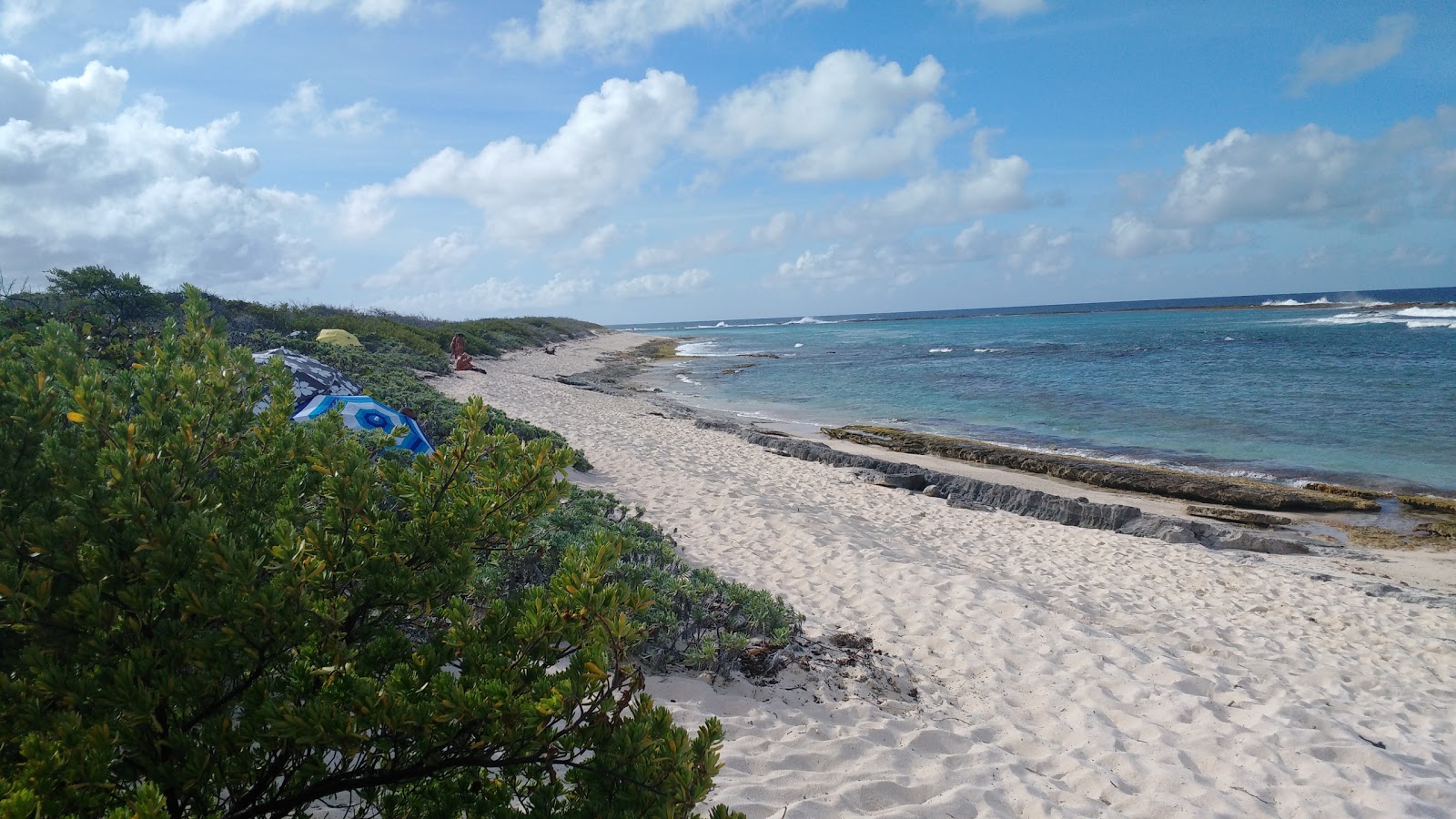 Photo of Beach strap salt with partly clean level of cleanliness