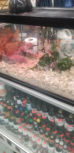 Pet Store «El Granero Pet Shop», reviews and photos, 15700 Atlantic Ave, Compton, CA 90221, USA