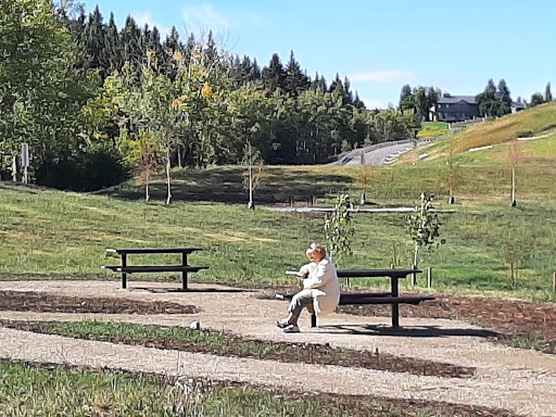 Tent campsites Calgary