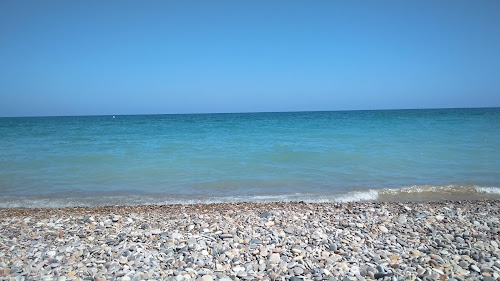 Malvarrosa Naturista photo #2