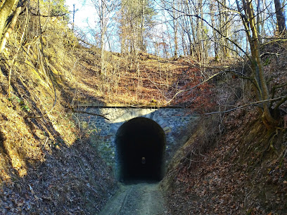 Egykori kisvasút alagútja (Dunel)