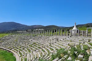 The ancient Theater of Messene image