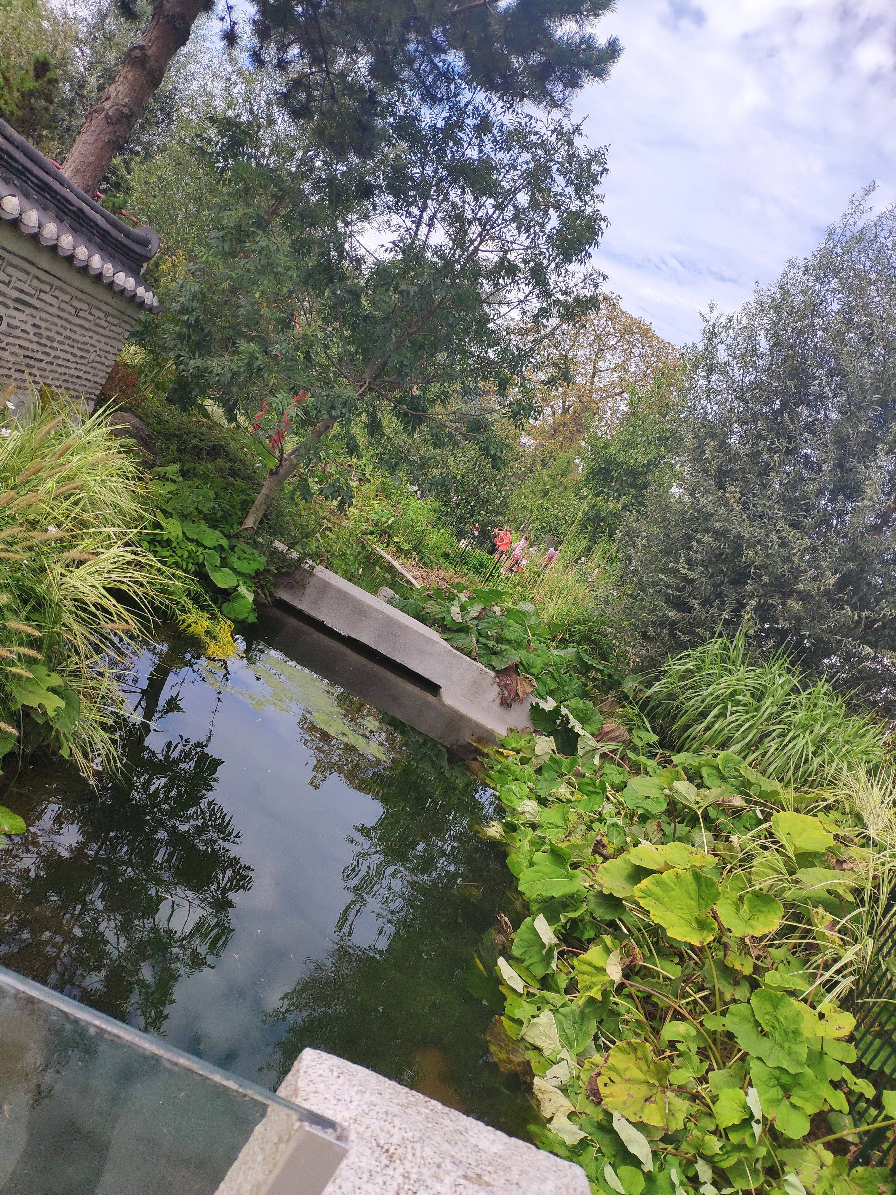 Photo n° 13 de l'avis de maîtresse.e fait le 21/08/2020 à 08:45