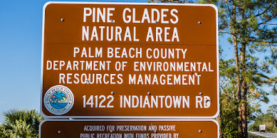 Pine Glades Natural Area