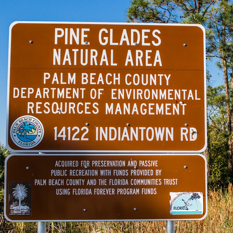 Pine Glades Natural Area