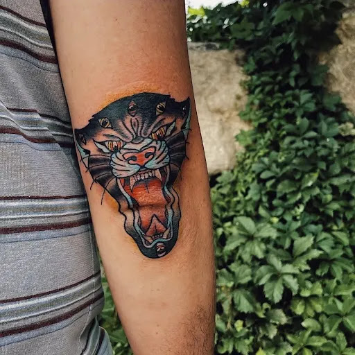 Explore cat memorial tattoo ideas, creative tattoo ideas in Carbondale, available at Bonedale Tattoo