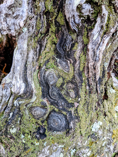 Nature Preserve «Eidolon Nature Preserve», reviews and photos, 2146 Orleans Rd, Great Cacapon, WV 25422, USA