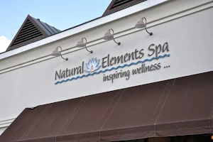 Natural Elements Spa & Salon. image