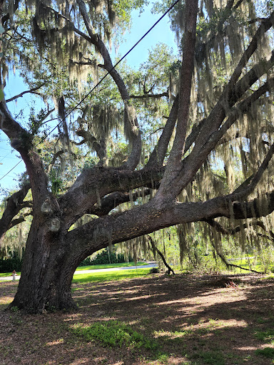 Carriage Ride Service «Sea Island Carriage Company», reviews and photos, 930 Bay St, Beaufort, SC 29902, USA