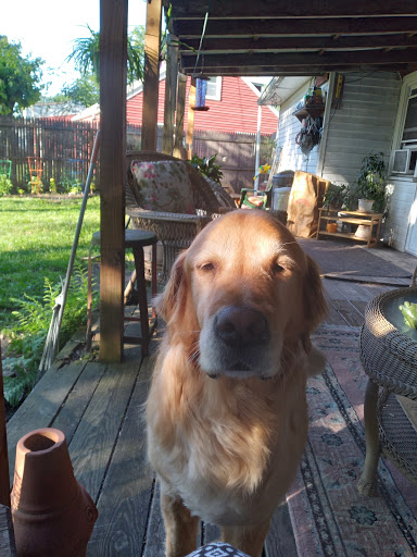 Pet Supply Store «PetSmart», reviews and photos, 406 Balltown Rd, Schenectady, NY 12304, USA