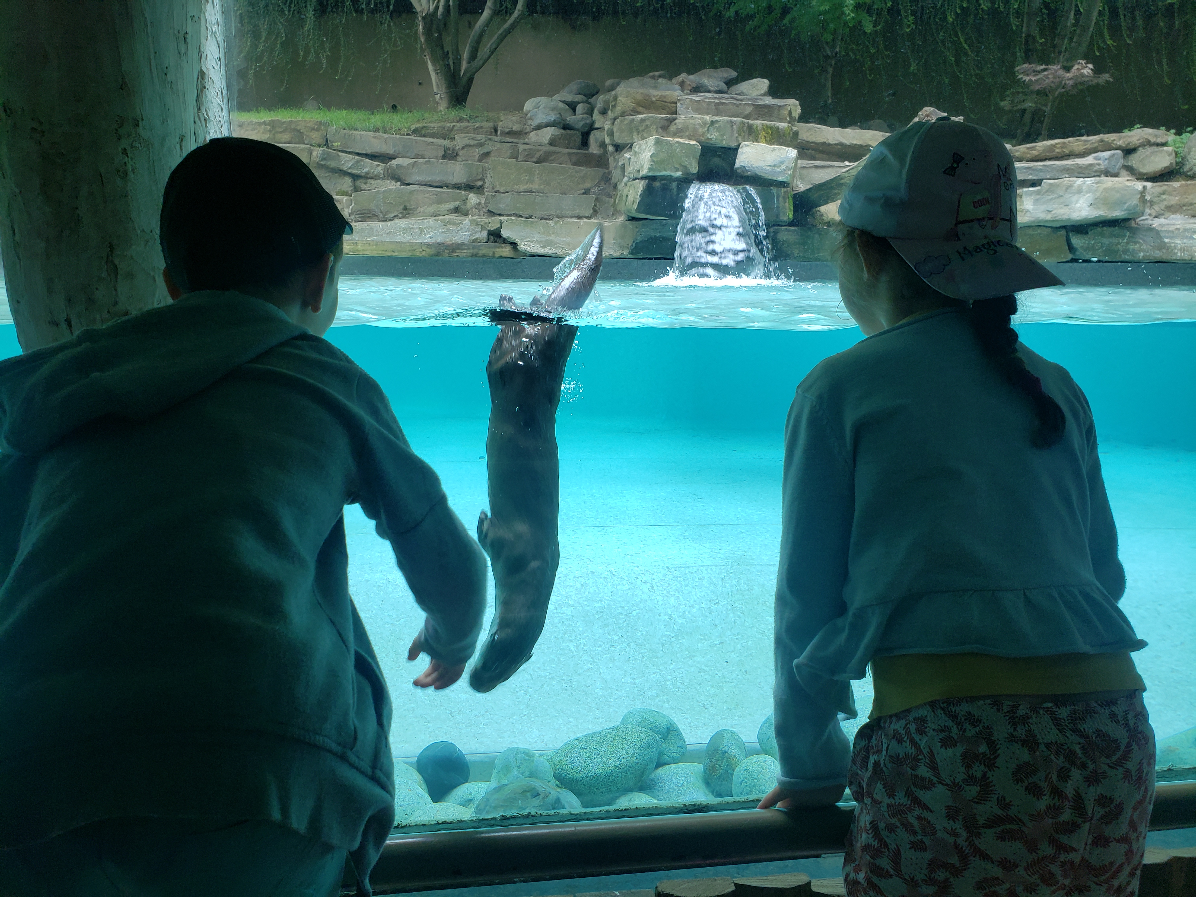 Photo n° 4 de l'avis de Emilie.e fait le 28/07/2022 à 16:01