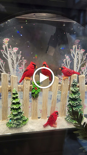 Florist «Seasons of Williamsburg», reviews and photos, 1308 Jamestown Rd, Williamsburg, VA 23185, USA