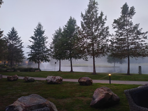 Golf Course «Golf Trails of the Woodlands», reviews and photos, 2311 N Millbend Dr, The Woodlands, TX 77380, USA