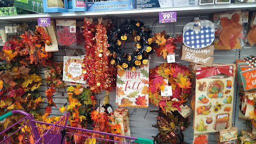 Discount Store «99 Cents Only Stores», reviews and photos, 2009 N Stapley Dr, Mesa, AZ 85203, USA