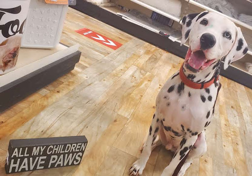 Department Store «HomeGoods», reviews and photos, 3377 U.S. 190, Mandeville, LA 70471, USA