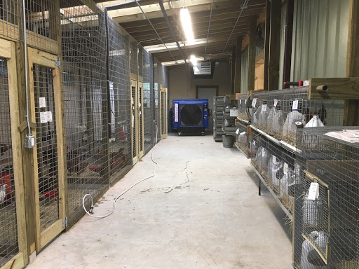 Animal Feed Store «Wabash Feed & Garden Store», reviews and photos, 4537 N Shepherd Dr, Houston, TX 77018, USA