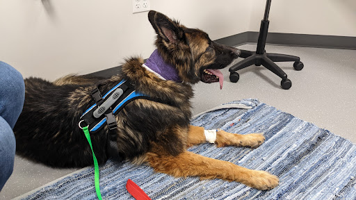 Insurance Agency «Embrace Pet Insurance», reviews and photos