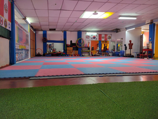 Club Deportivo Martin Black Belt - Taekwondo - Arequipa