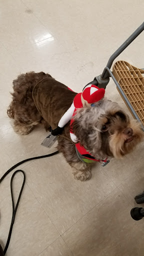 Pet Supply Store «Petco Animal Supplies», reviews and photos, 993 Branson Hills Pkwy, Branson, MO 65616, USA