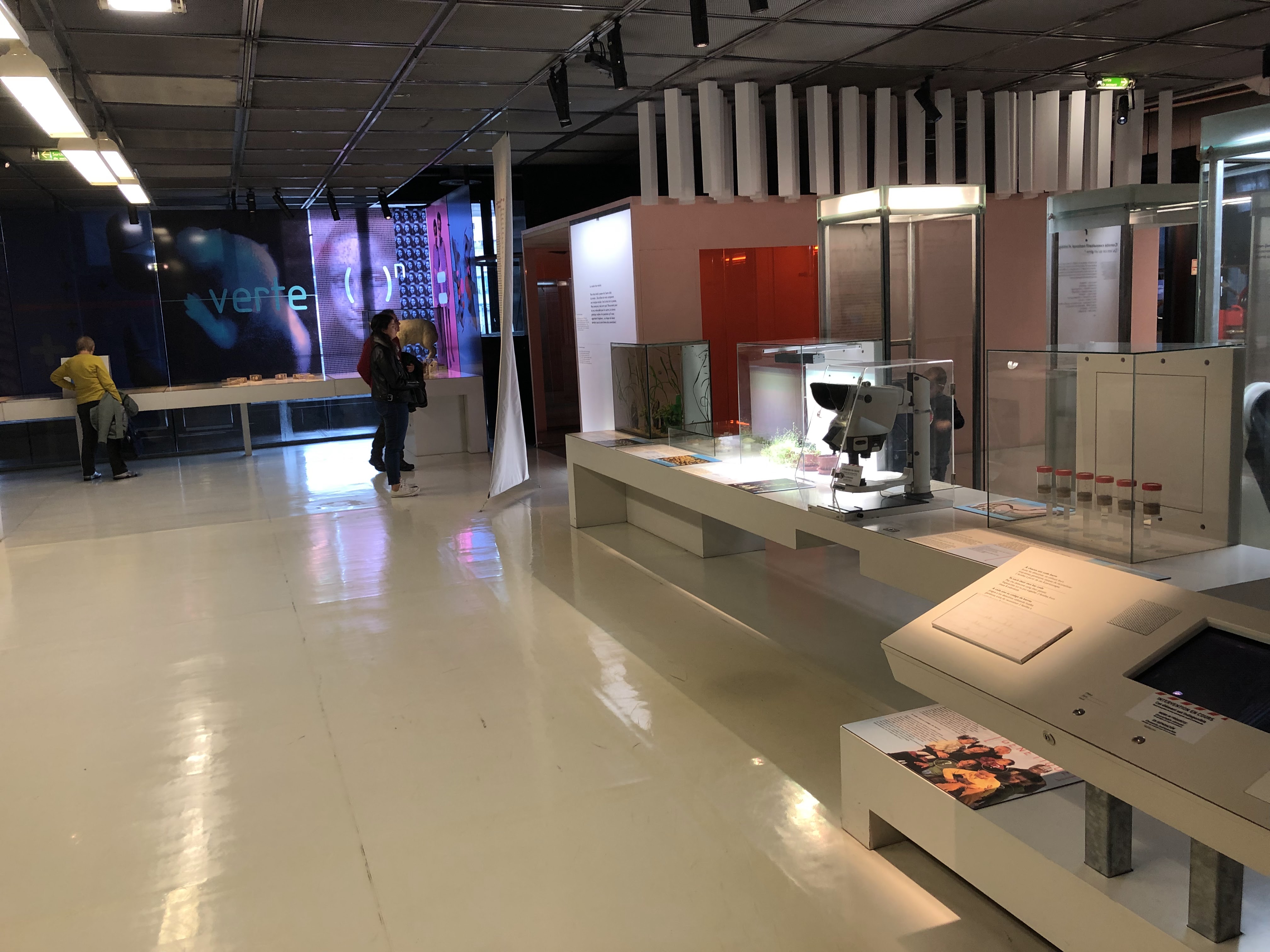 Photo n° 2 de l'avis de Johnny.a fait le 01/12/2019 à 19:06