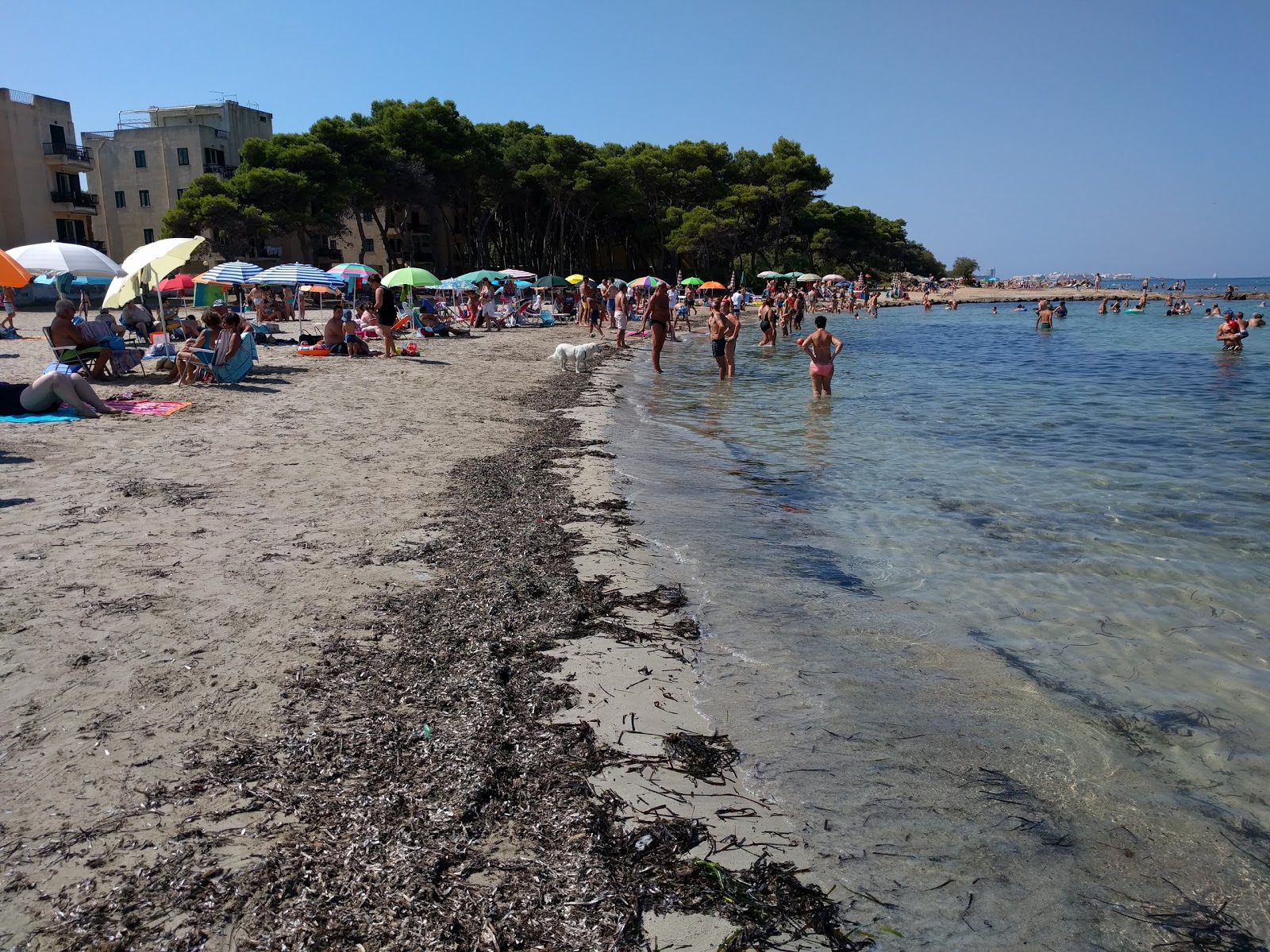 Spiaggia di Lido Torre'in fotoğrafı imkanlar alanı