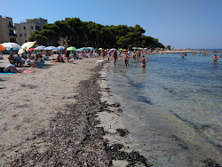 Spiaggia di Lido Torre'in fotoğrafı imkanlar alanı