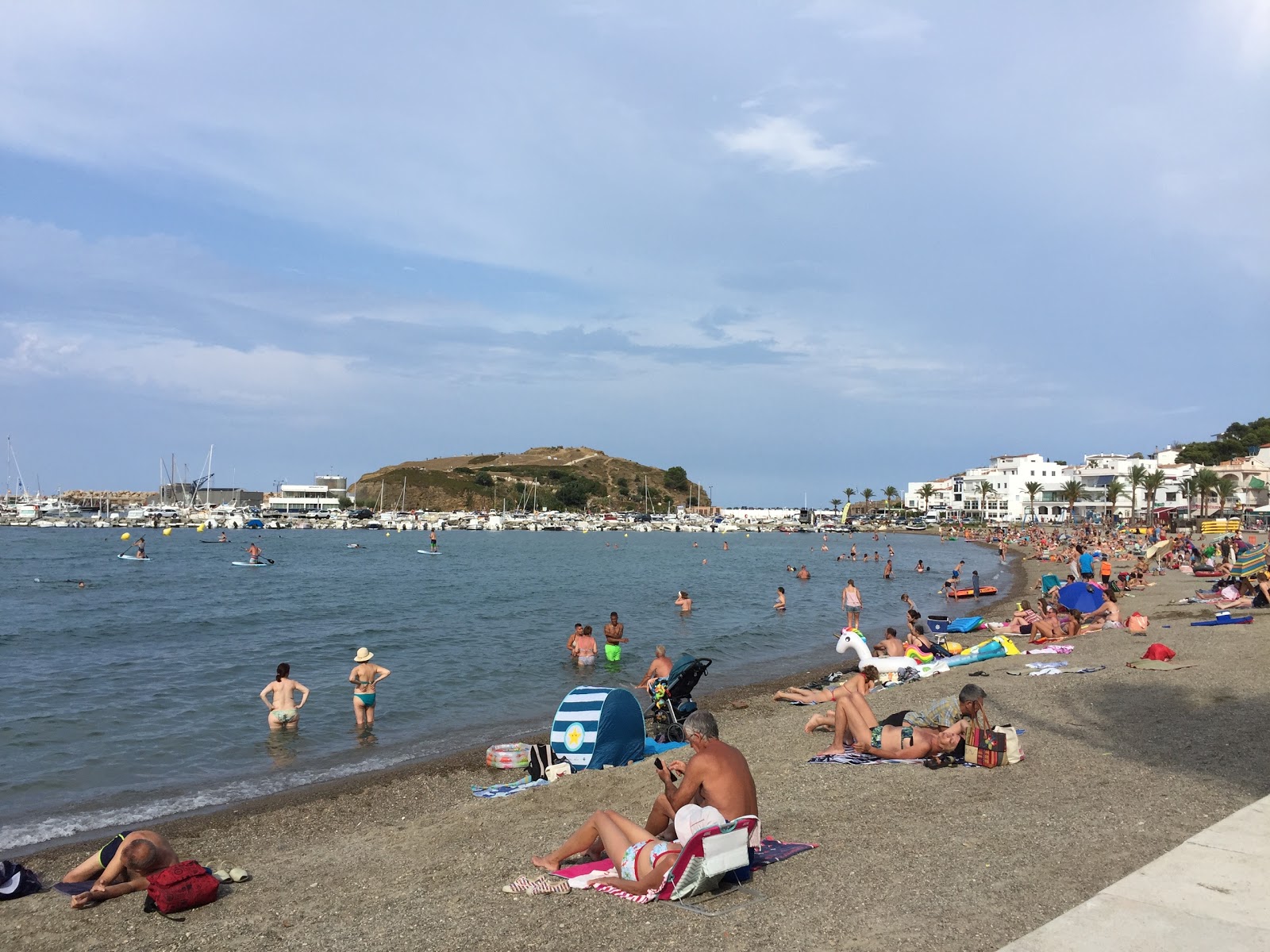 Photo of Platja del Port with very clean level of cleanliness