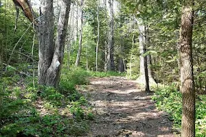Robinson Woods Preserve image