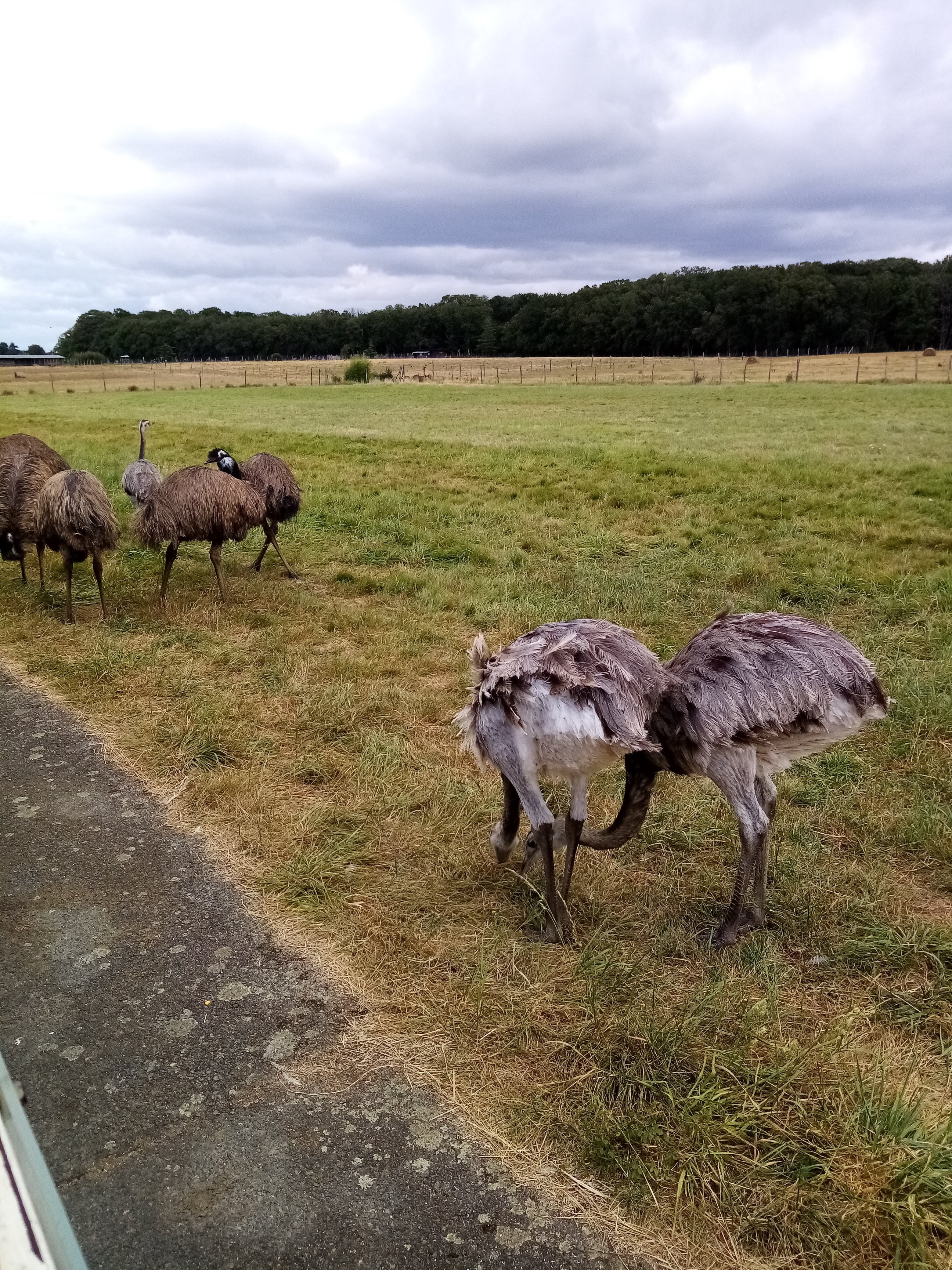 Photo n° 13 de l'avis de Aurelie.u fait le 17/08/2021 à 19:49