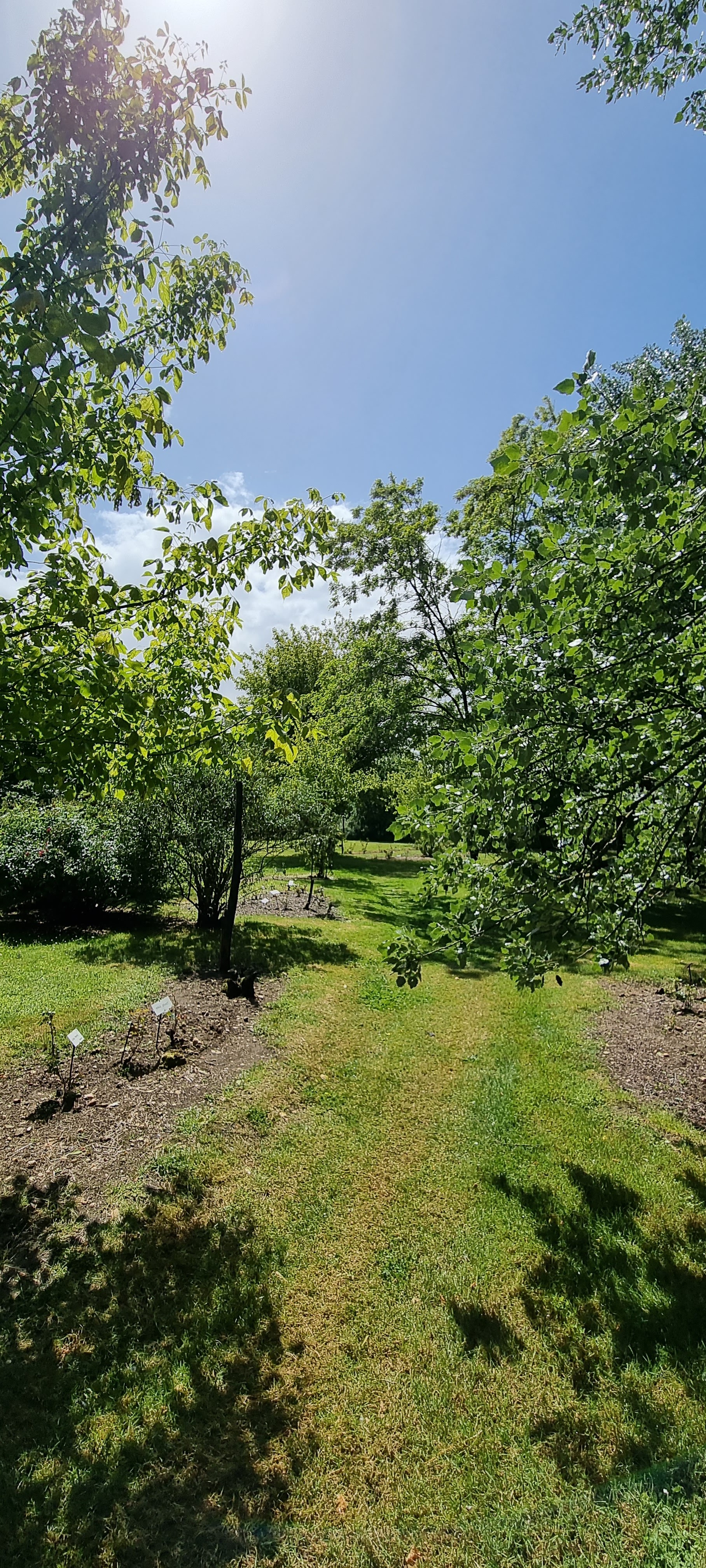 Photo n° 20 de l'avis de Lavialle.e fait le 24/05/2021 à 16:18