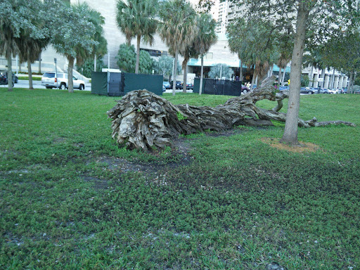 Performing Arts Theater «Bayfront Park Amphitheatre», reviews and photos, 301 Biscayne Blvd, Miami, FL 33132, USA