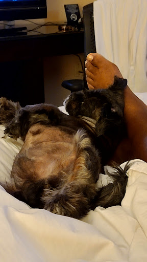 Hotel «Hilton North Raleigh/Midtown», reviews and photos, 3415 Wake Forest Rd, Raleigh, NC 27609, USA