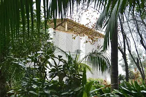 Quinta das Pintoras image